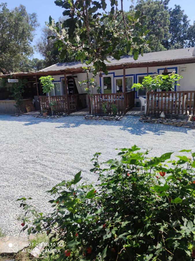 Bodrum Masali Camping Gümüşlük Exterior foto